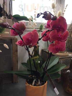 Foto 54235853
