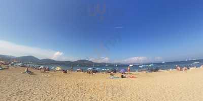Foto 65445383