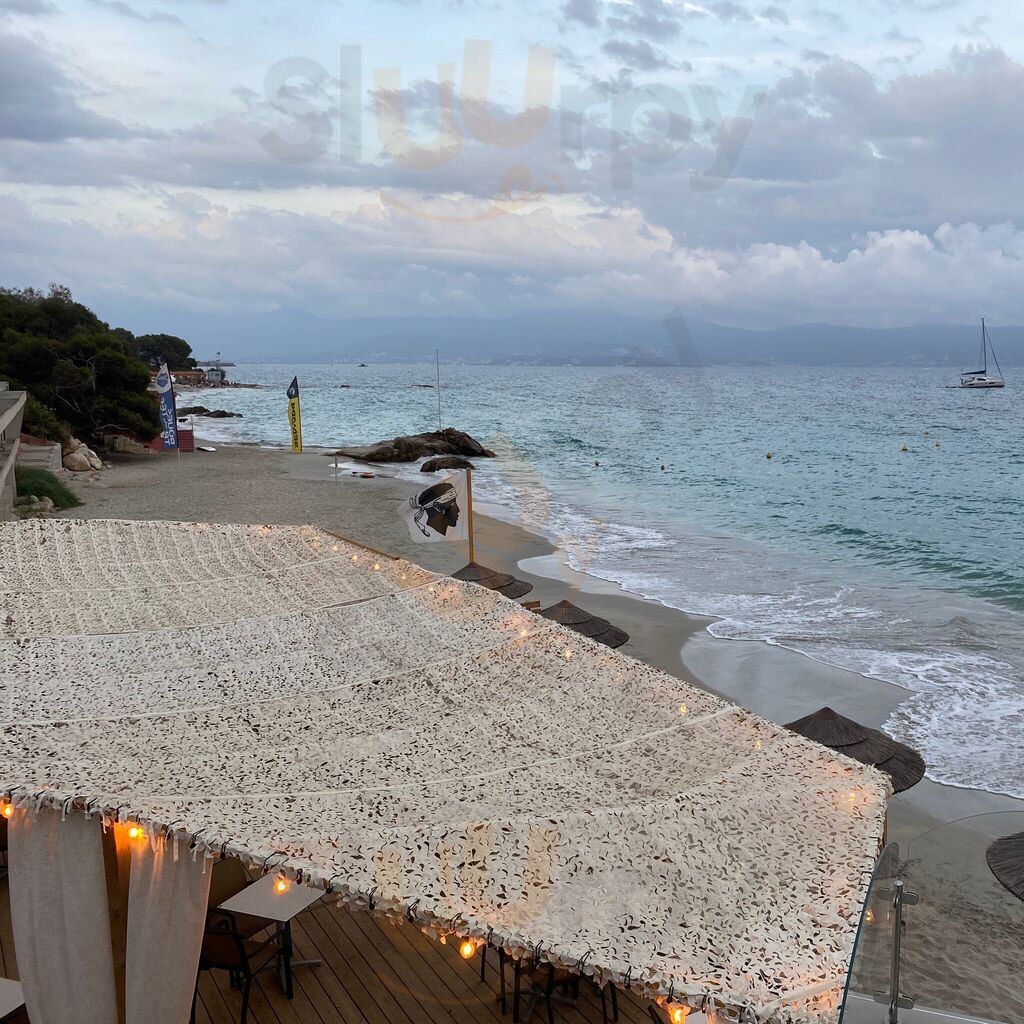 Restaurant De L'hôtel Palm Beach Ajaccio