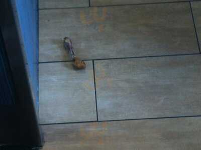 Kentucky Chicken Fried - Kfc