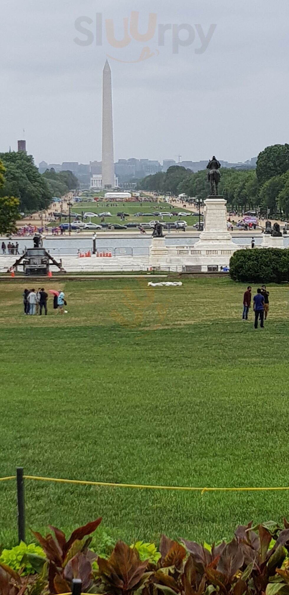 Washington Dc