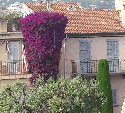 Foto 65475643
