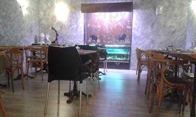 Foto 15958778