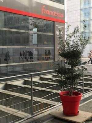 Foto 16049412