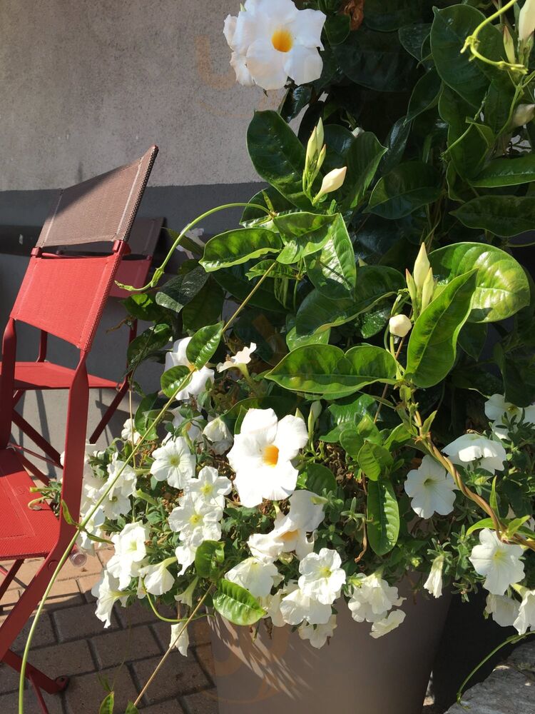 Le Relais Fleuri