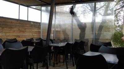 Foto 16412822