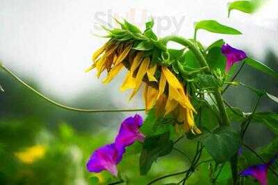 Foto 16849575