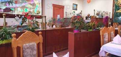 Foto 54080563