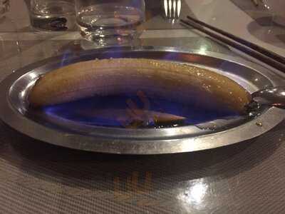 Foto 54256191