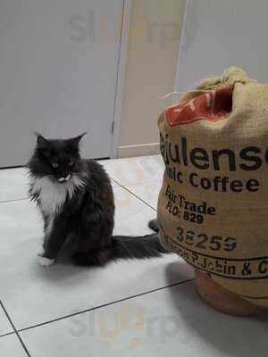 Foto 53664644