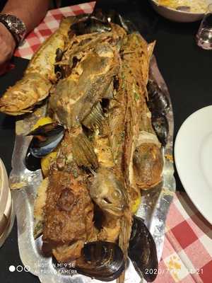 Havana's Coffee Since 2016