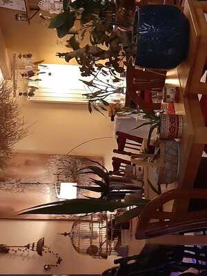 Foto 54217429