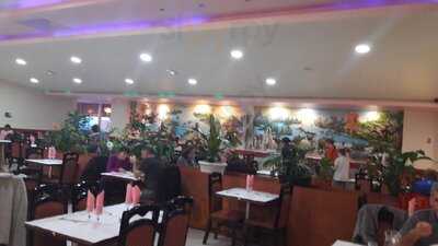 Foto 44148435