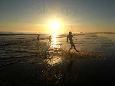 Foto 44246316
