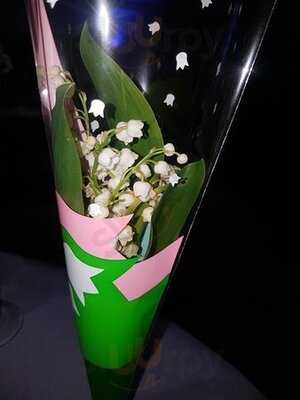 Foto 44331944