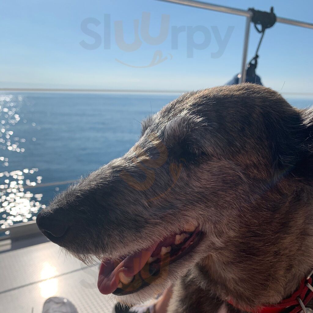 Restaurant Du Camping Cala Gogo