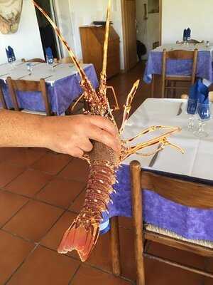 Foto 44581067