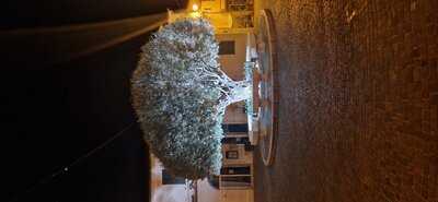Foto 65445541
