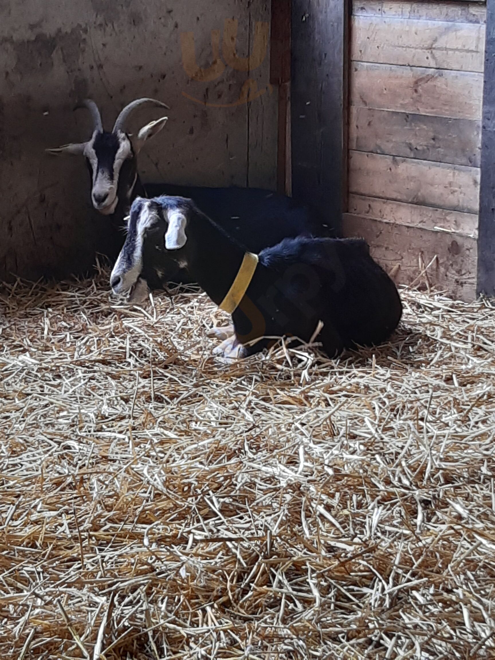 La Ferme Des Étroits