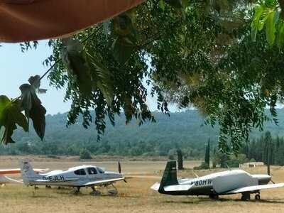 Foto 54113099