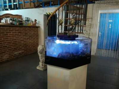 Foto 45003433