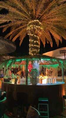 Foto 54131470