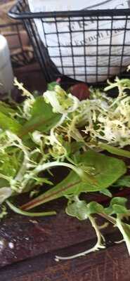 Foto 65487396