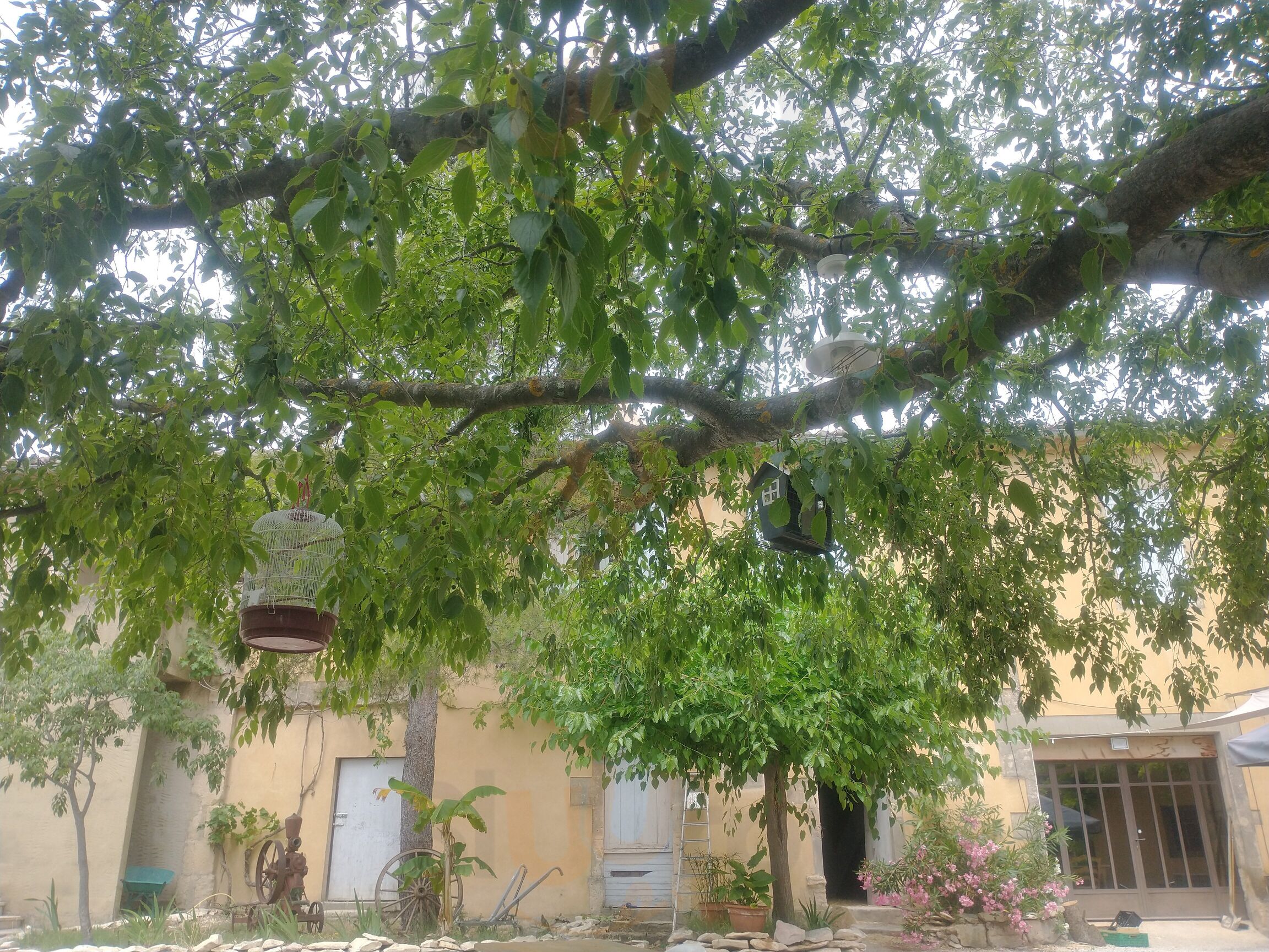 Auberge La Treille