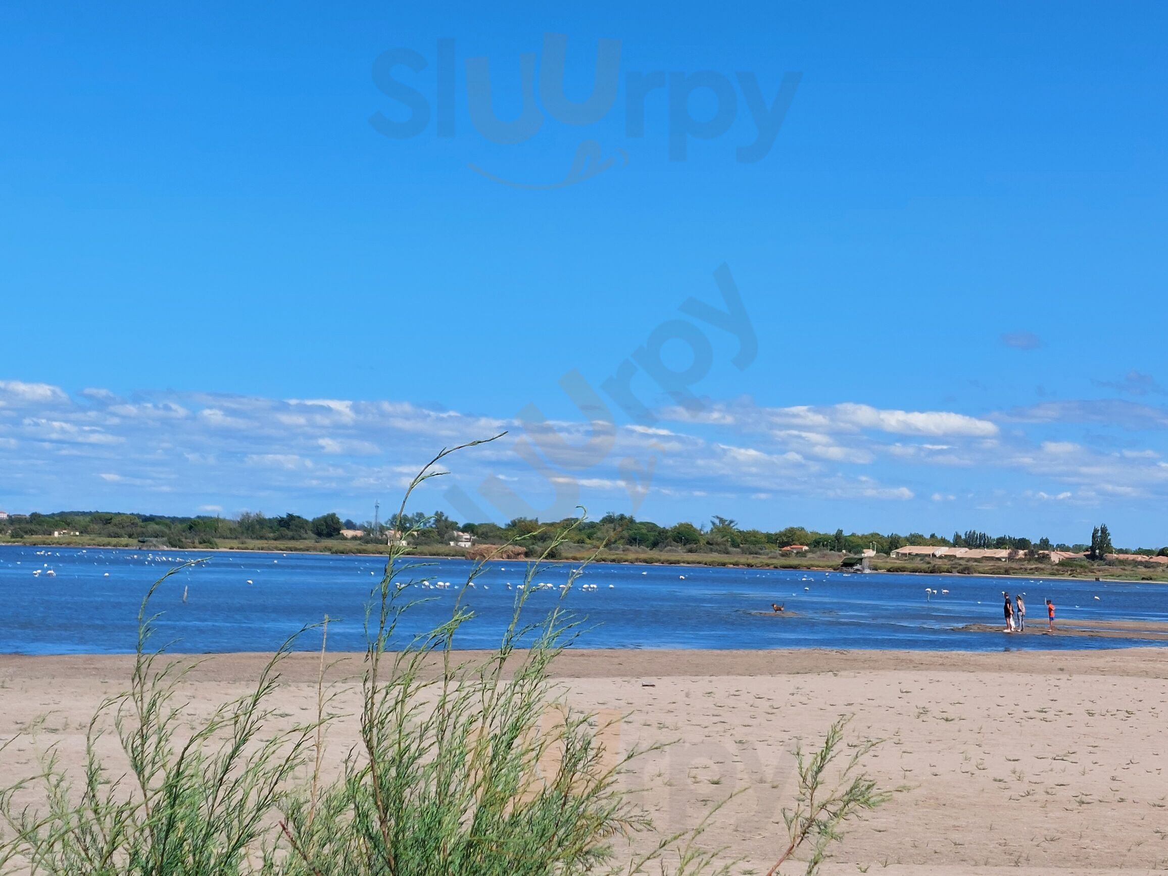 L'instant Plage