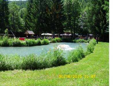 Foto 45289312