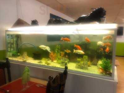 Foto 45297200
