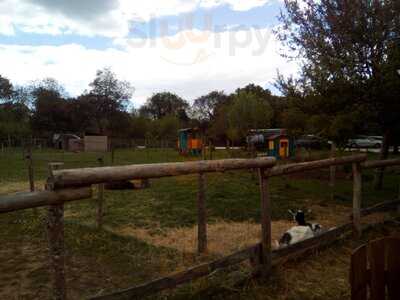 Foto 54172368