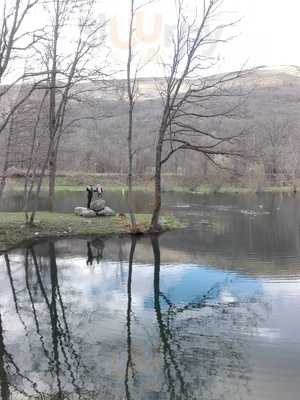 Foto 65796572