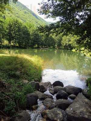 Foto 65796574
