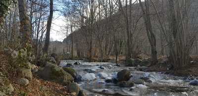 Foto 65796577