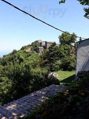 Foto 45460415