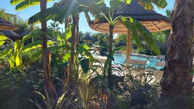 Foto 53671806