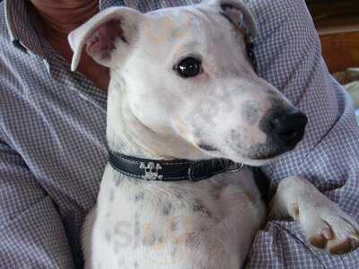 Foto 53712434