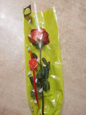 Foto 45675510
