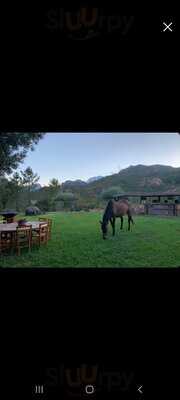Ferme Auberge A Pinzutella