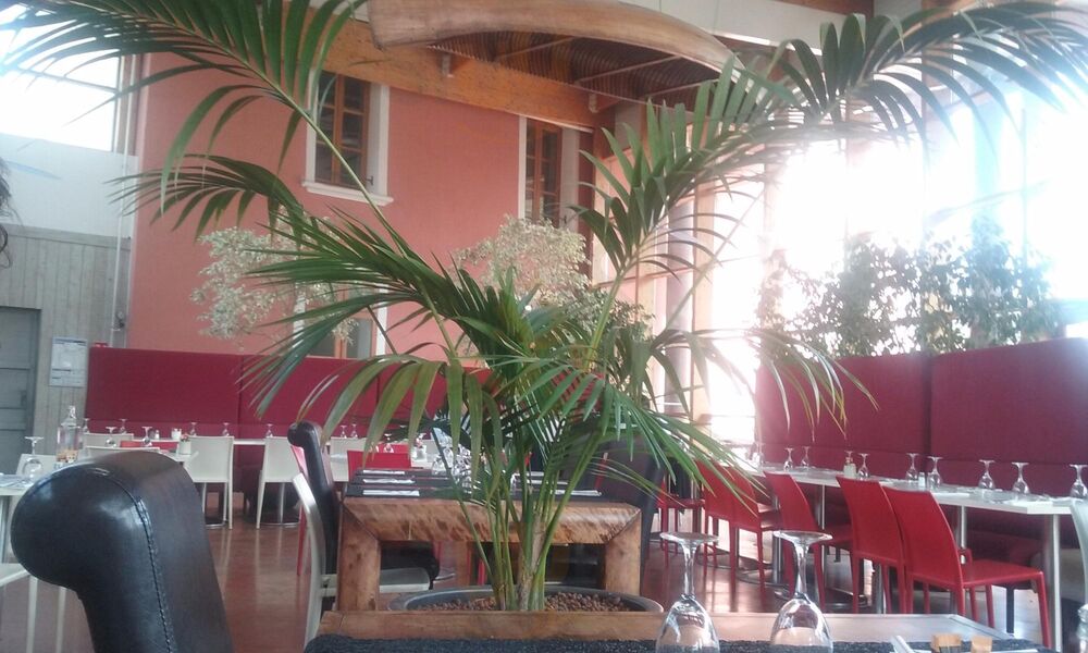 La Terrasse Cafe Sport