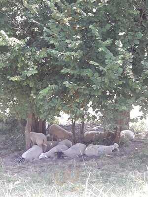 Foto 45853043