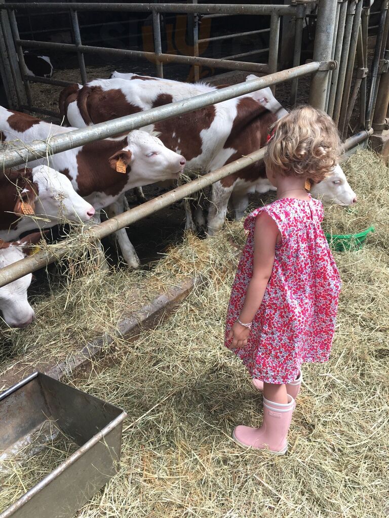 La Ferme Les Montagnards