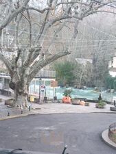 Chez Dominique