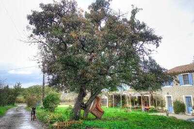 Foto 54104112