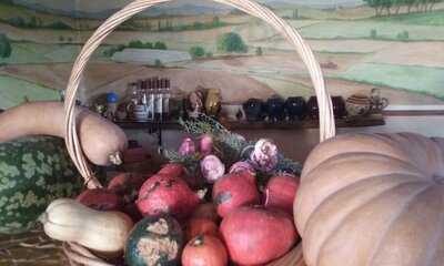 Foto 54104161