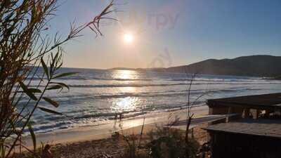 Foto 54202310