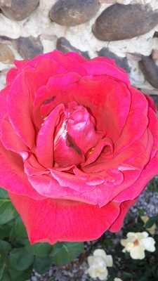 Foto 65880191