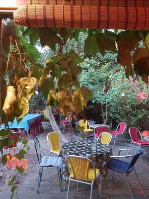 Foto 65882046