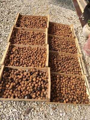 Le Chevrefeuille Cookery School